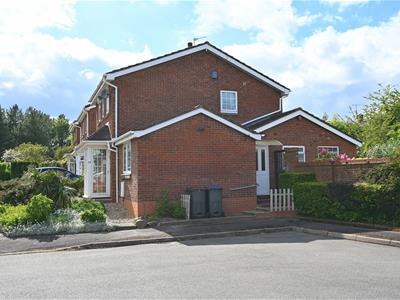 Picture 27